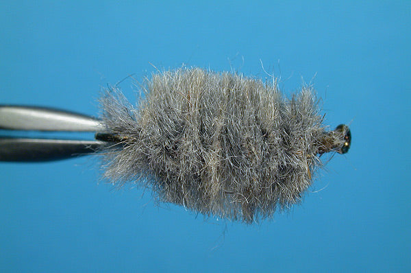 Cress Bug Gray