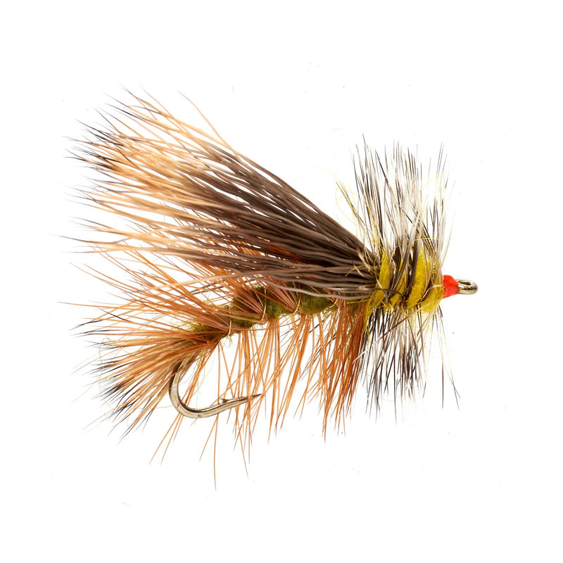 Stimulator Olive