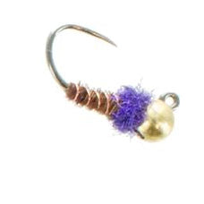 Frenchie Jig Purple