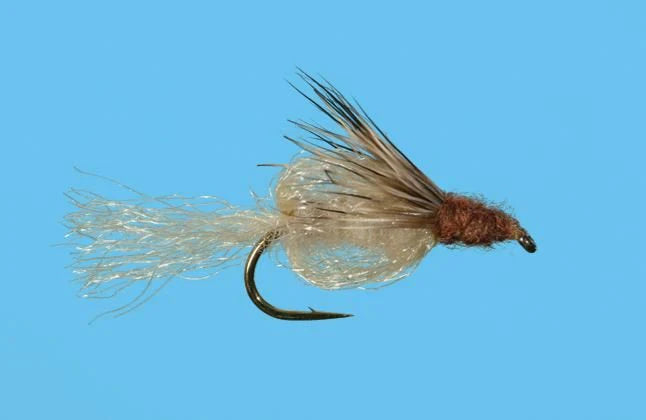 Deep Sparkle Pupa Tan
