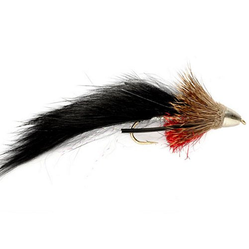 Conehead Muddy Buddy Black