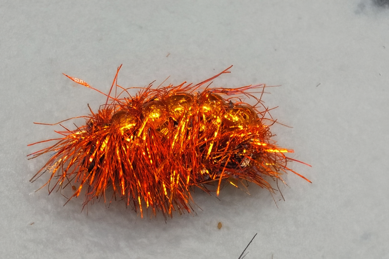 Bead-Back Scud Orange