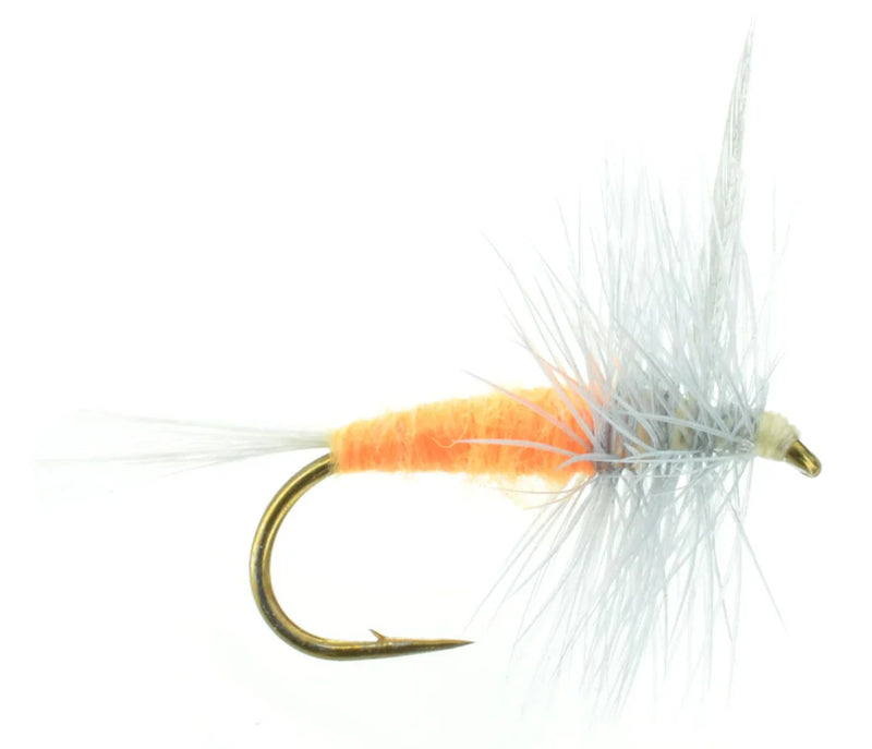 Sulphur Dun Orange