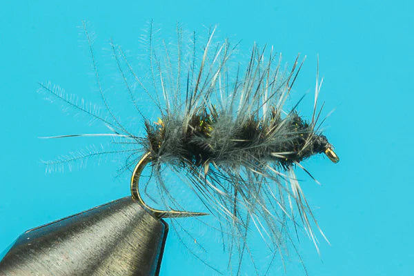 Griffith's Gnat CDC