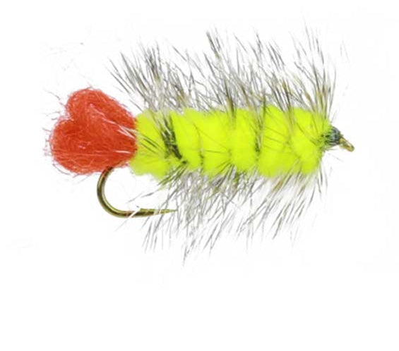 Woolly Worm Chartreuse