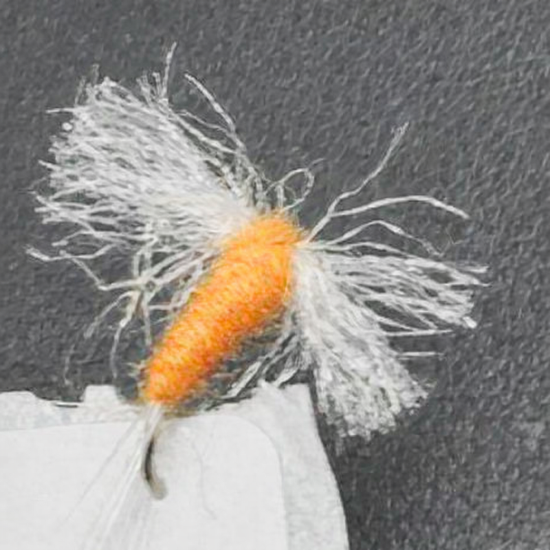 Sulphur Spinner Orange