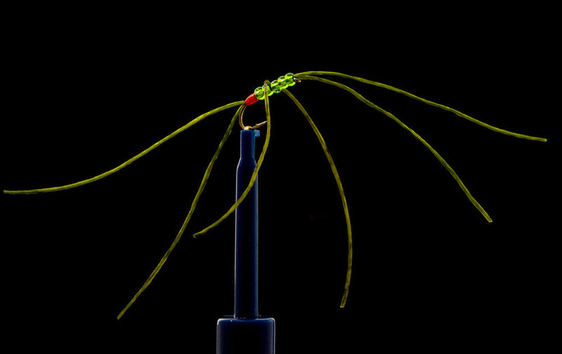 Apps Bloodworm Olive