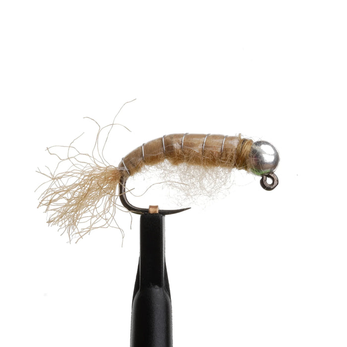Tungsten Scud Tan