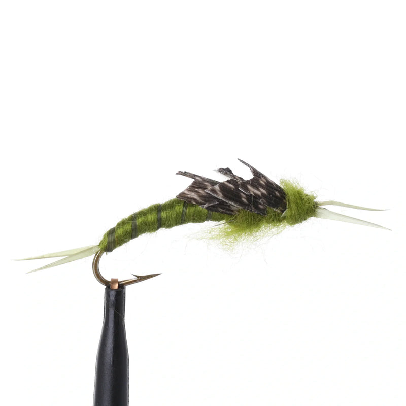 Kaufmann's Stonefly Olive