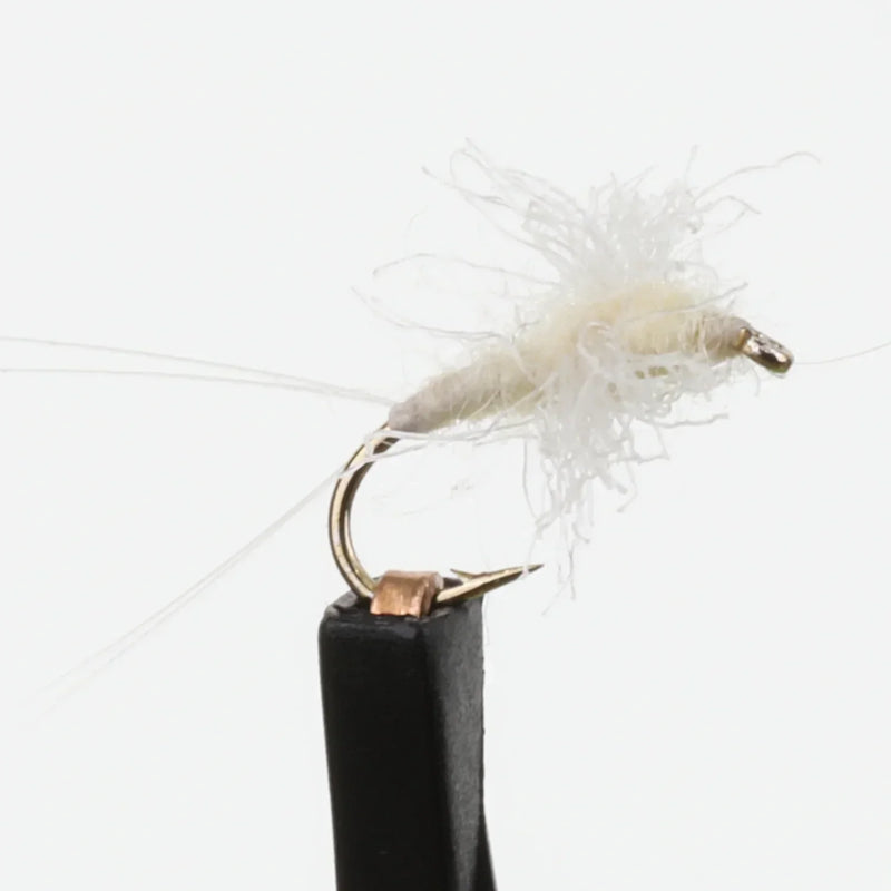 Pale Morning Dun Spinner