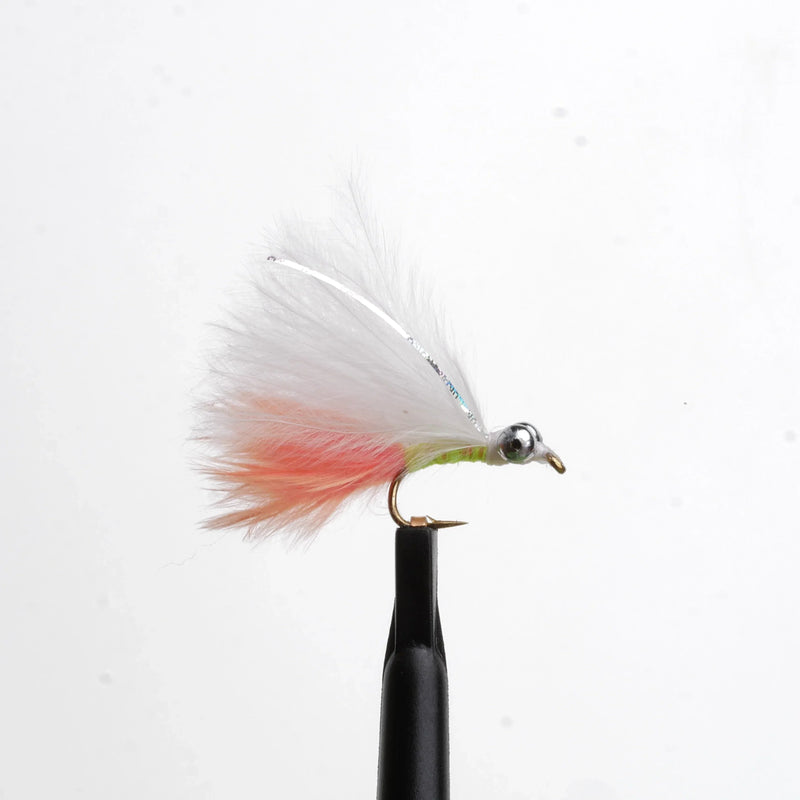Mini Cat's Whisker Cutthroat
