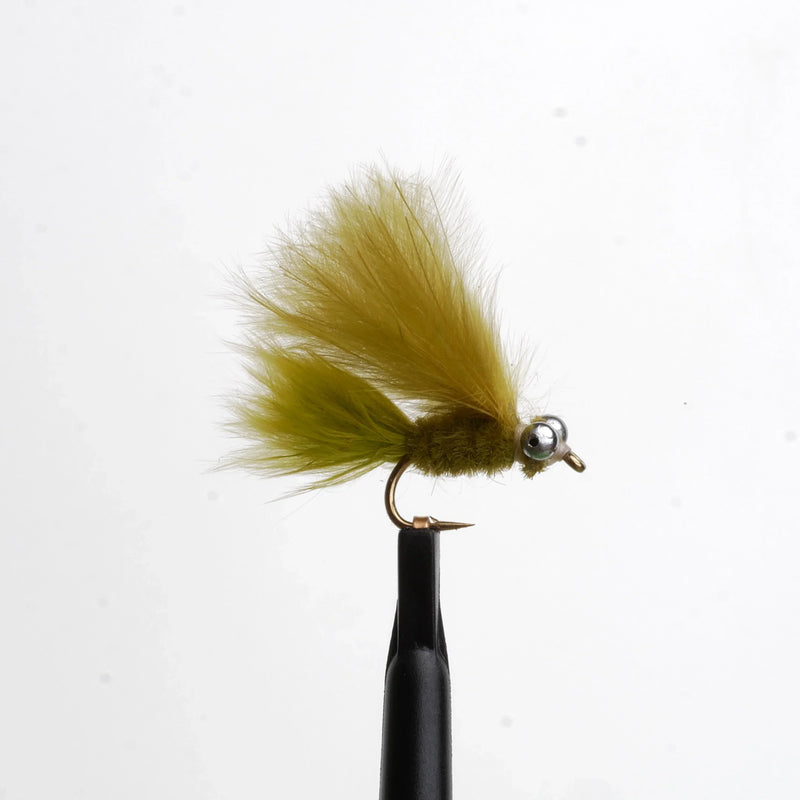 Mini Cat's Whisker Olive