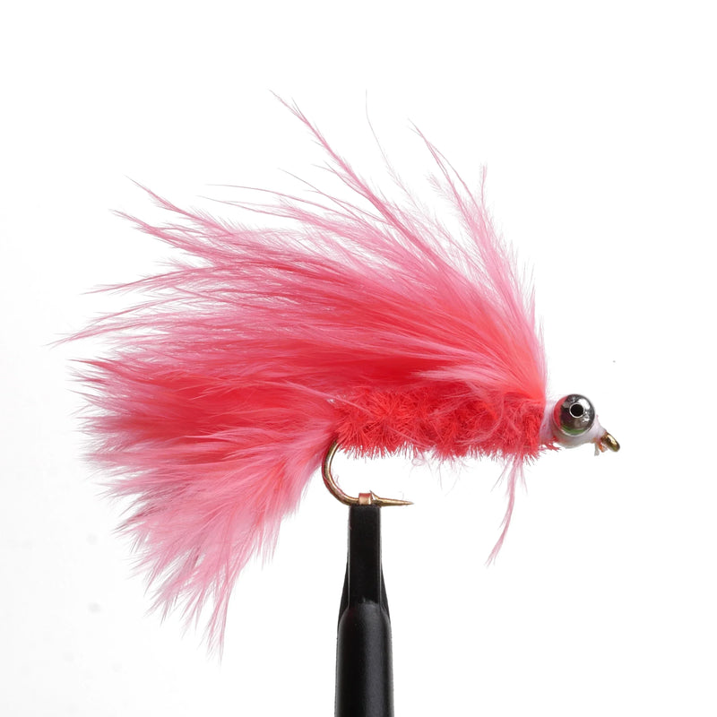 Cat's Whisker Hot Orange