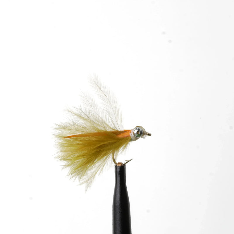 Mini Cat's Whisker Olive/Orange
