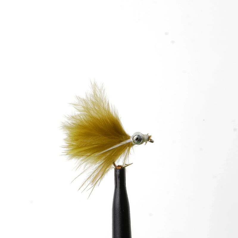 Mini Cat's Whisker Olive/White
