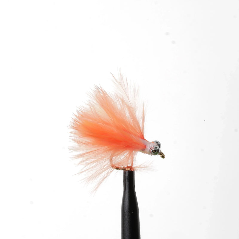Mini Cat's Whisker Orange/White