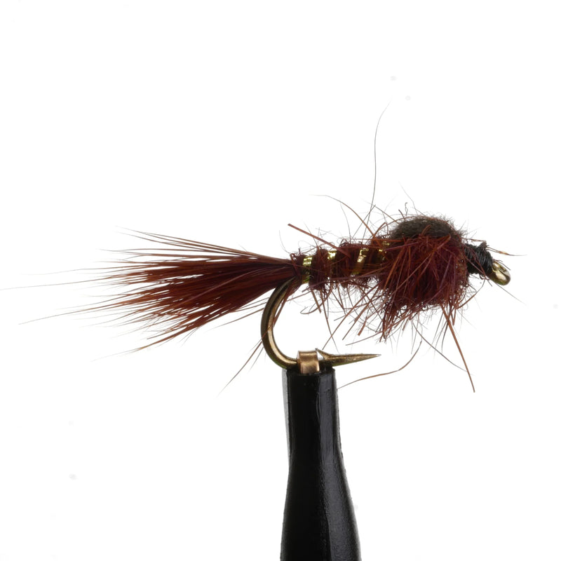 Hares Ear Brown