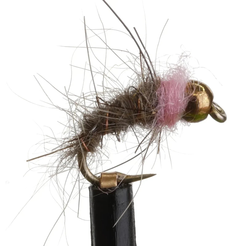 Pink Squirrel Nymph