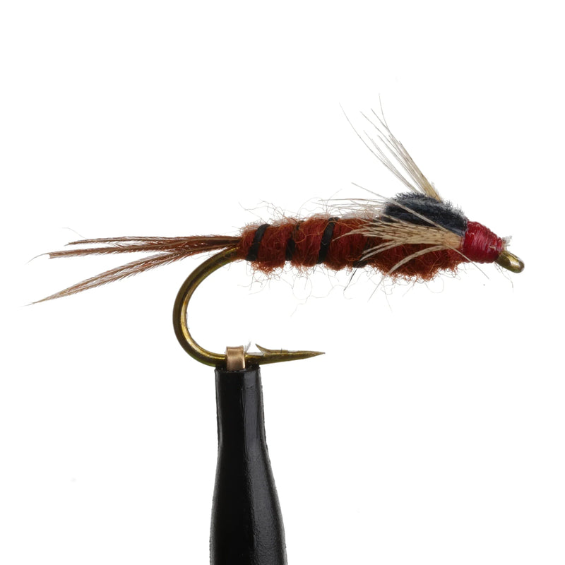 Isonychia Nymph