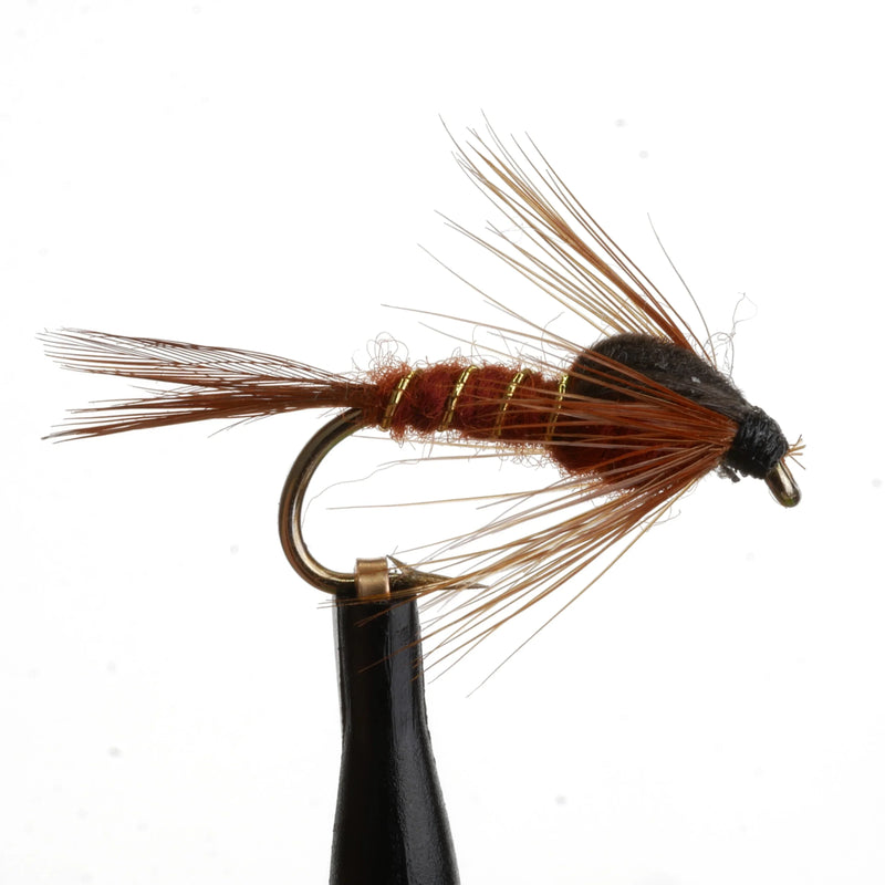 Damsel Nymph Brown