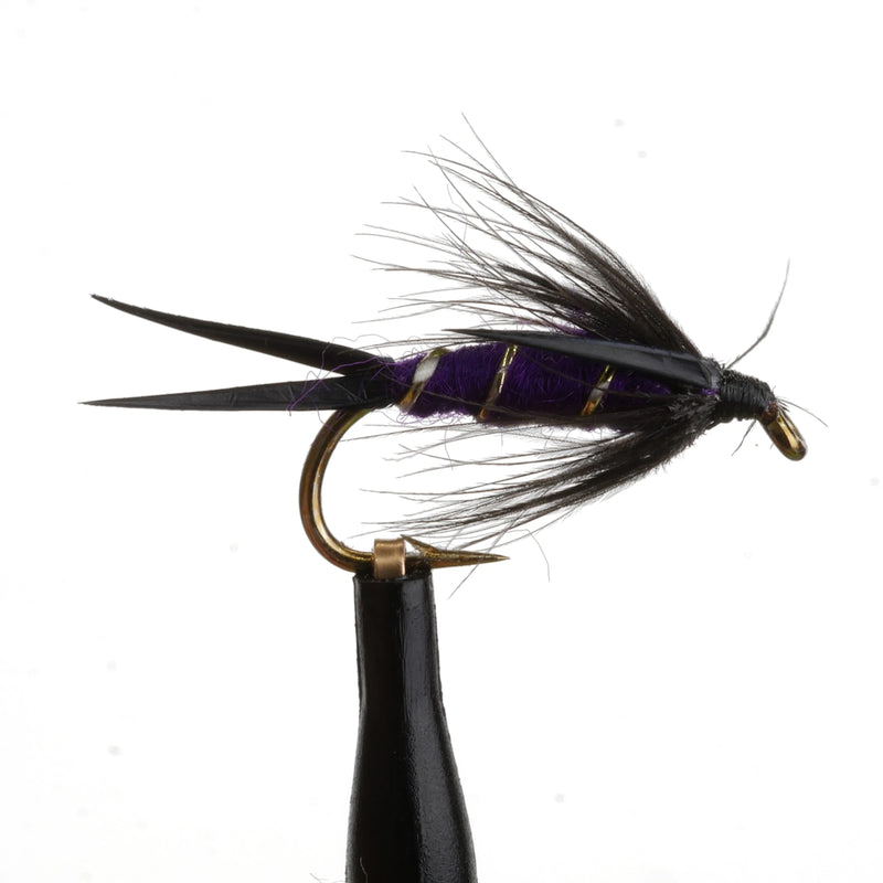 Prince Nymph Purple