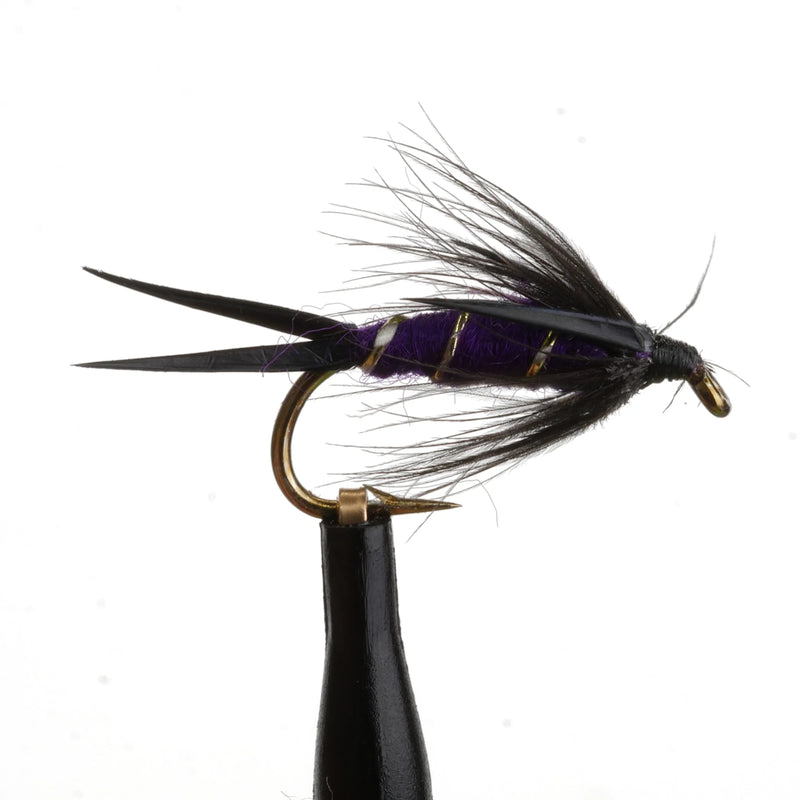 Purple Prince Nymph