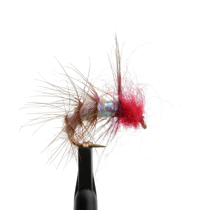 UV Snatcher Red