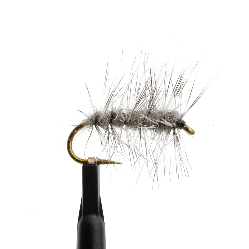 PA Muskrat Nymph Natural