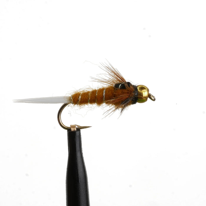 Tung Teaser Brown