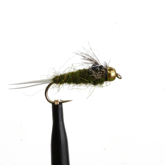 Tung Teaser Olive