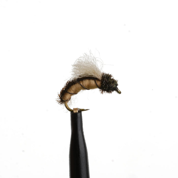 Caddis Emerger Pupa Tan