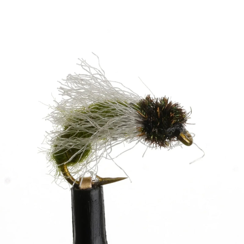Z-Wing Caddis Olive