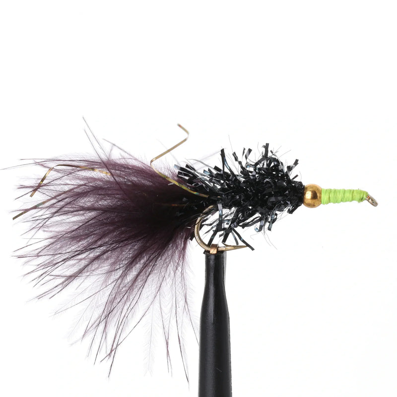 Nomad Viva Black
