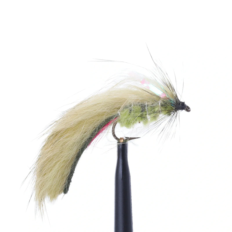 Olive Rabbit