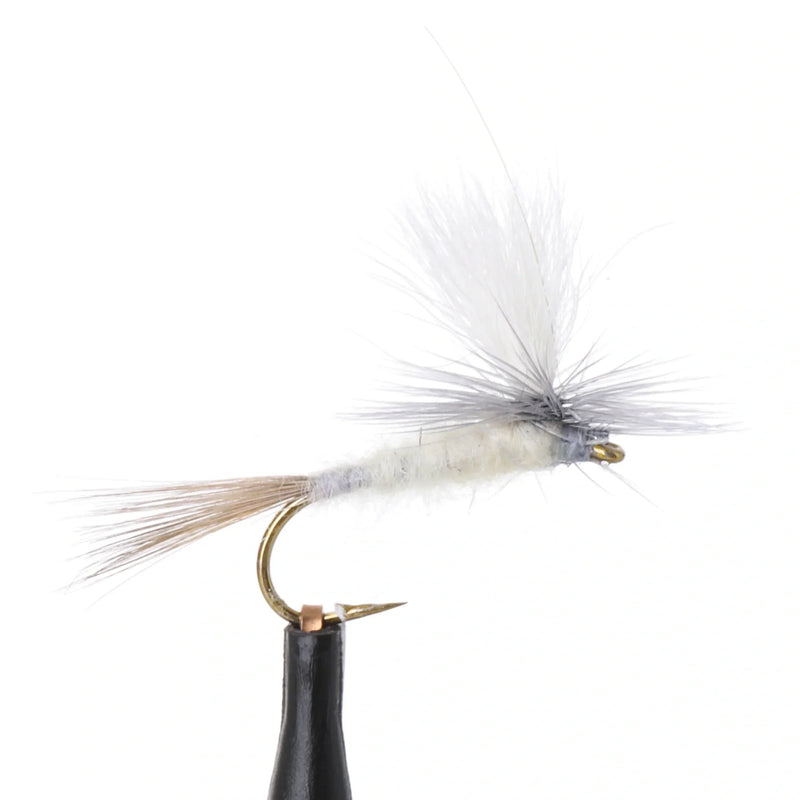 Parachute Pale Morning Dun Cream