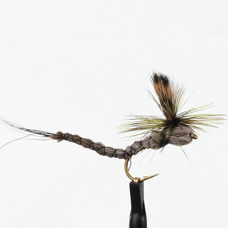 Paradrake Extended Body Natural
