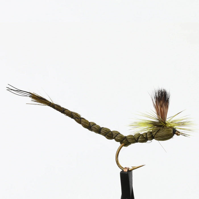 Paradrake Exteneded Body Olive