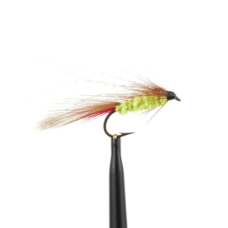 Parson's Glory Neon