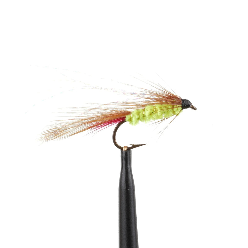 Parson's Glory Neon