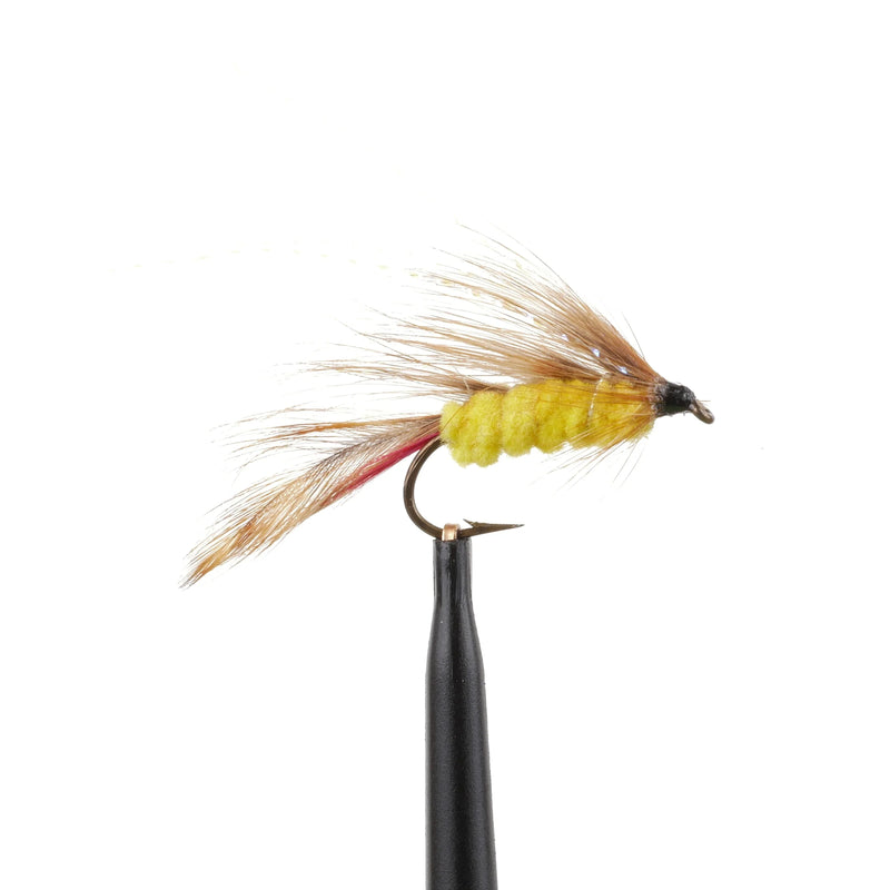 Parson's Glory UV Flash