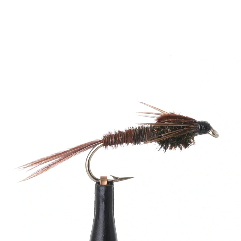 Pheasant Tail Nymph