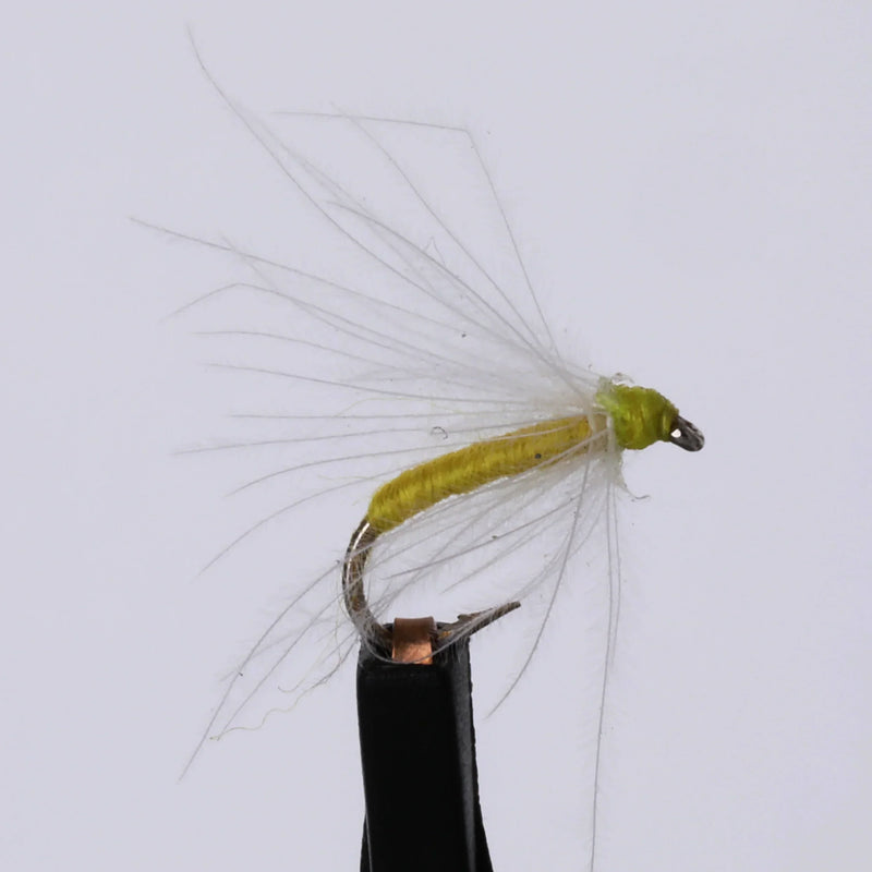 Puff Daddy Sulphur