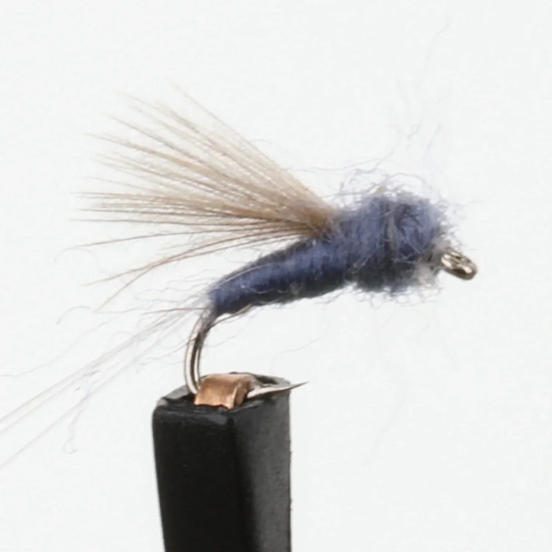 RS2 CDC Adams Gray