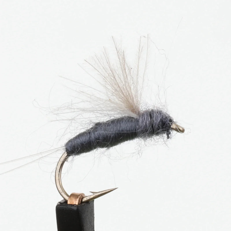 RS-2 Emerger CDC