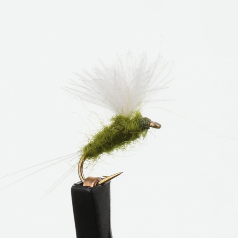 RS2 CDC Olive