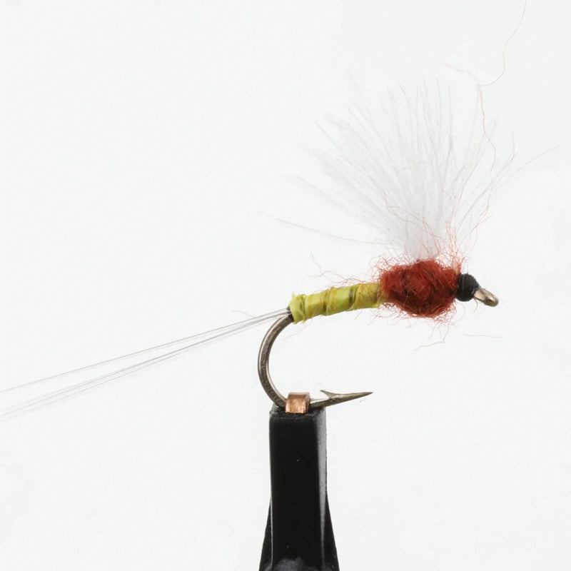 RS2 Sulphur Quill Body