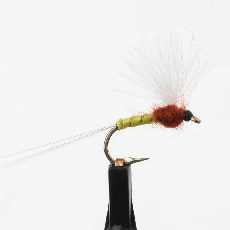 RS-2 Yellow Emerger