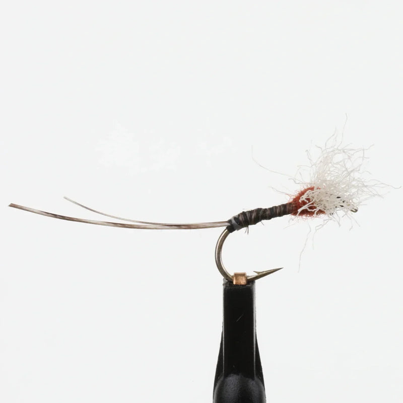 RoxStar Rusty Spinner