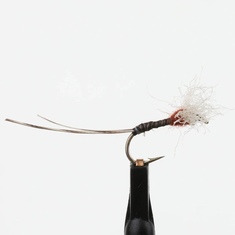 RoxStar Rusty Spinner