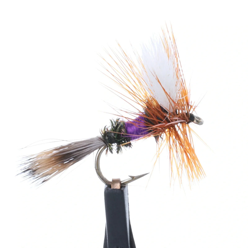 Royal Wulff Purple